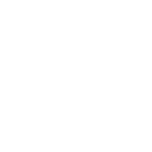 PT